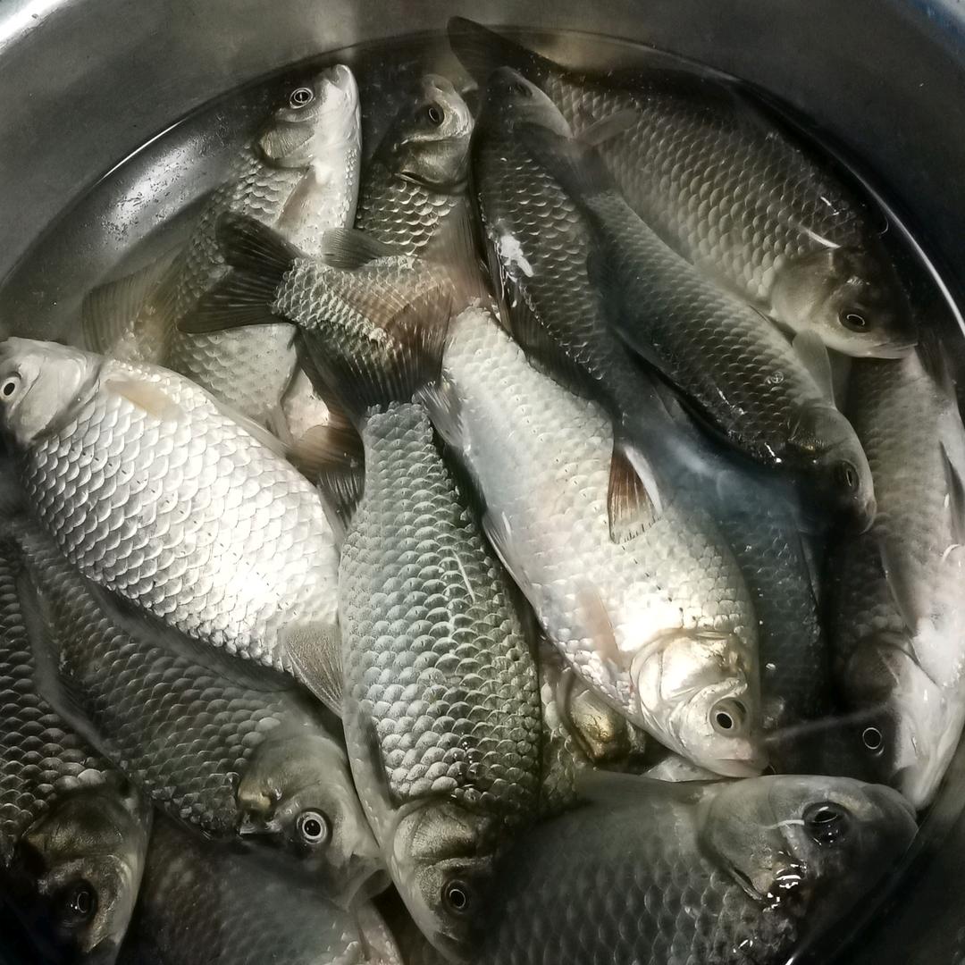 余美来