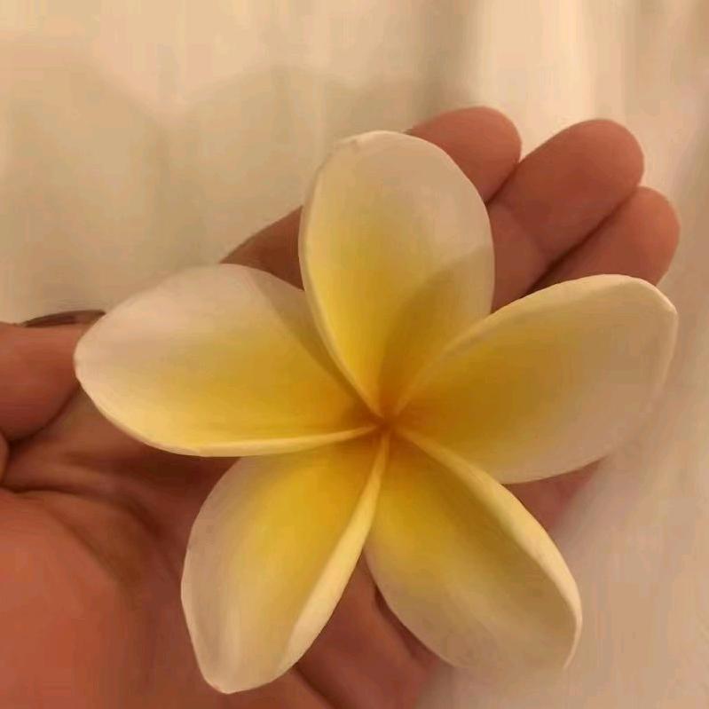 七级佳美～12年老店～