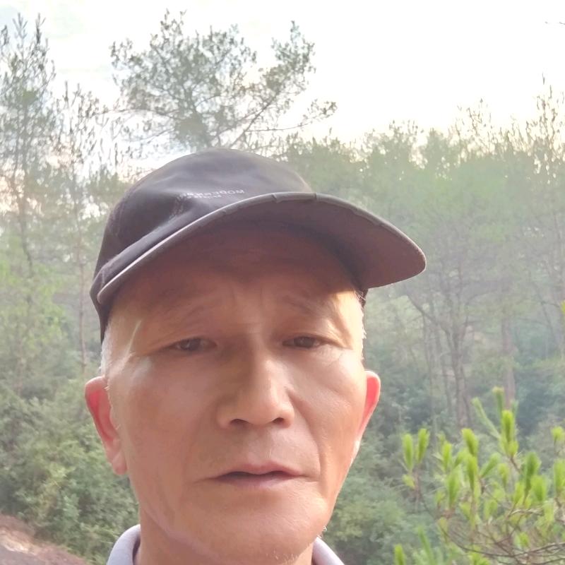 石林山人