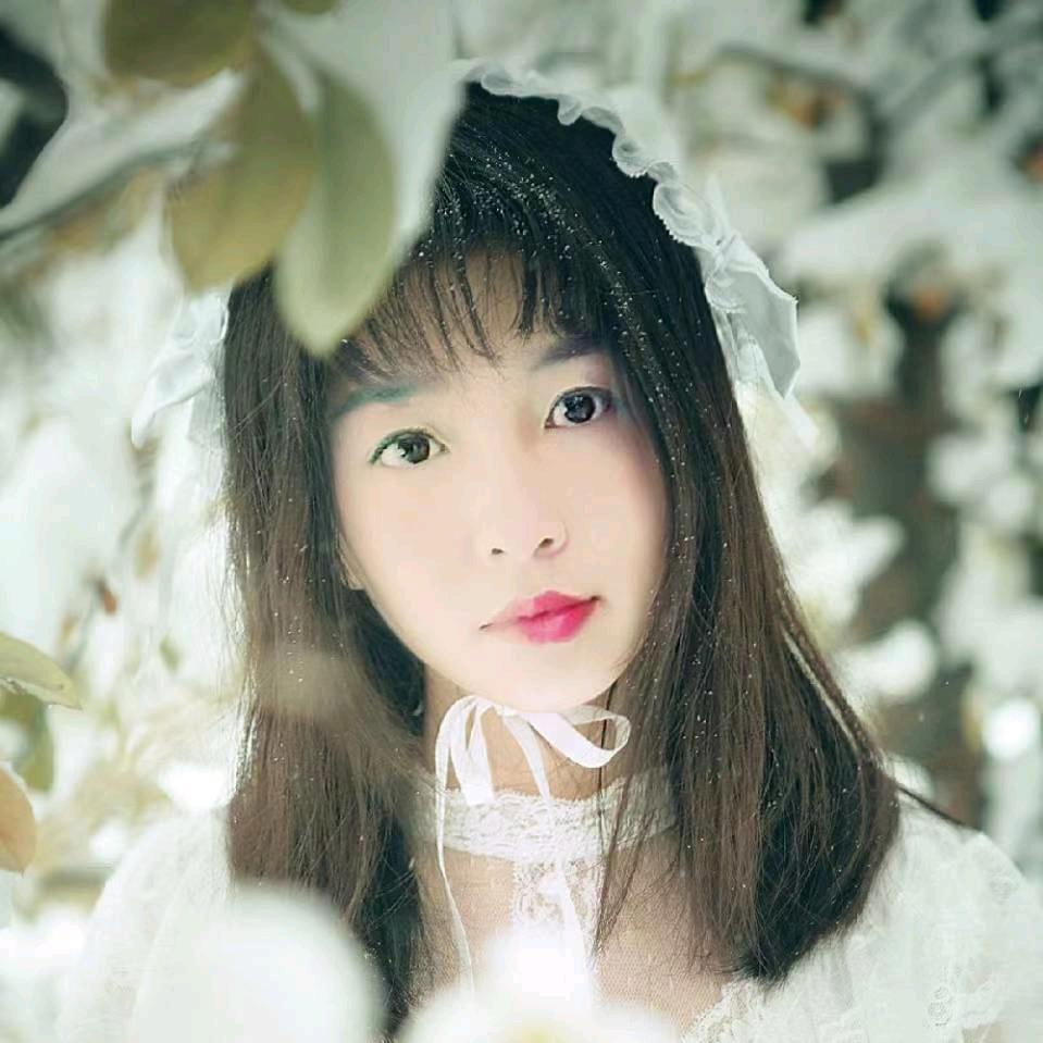 南阳程程