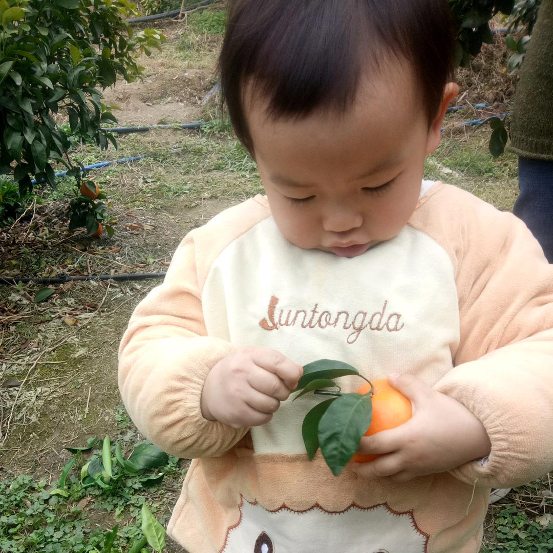 平安特训营蓝教