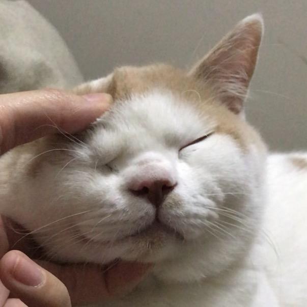 初八事务所