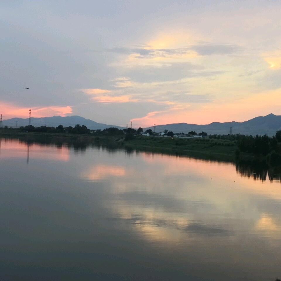 车保姆阿莹