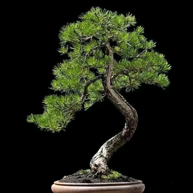 东芝空调(潢川县交警大队店)