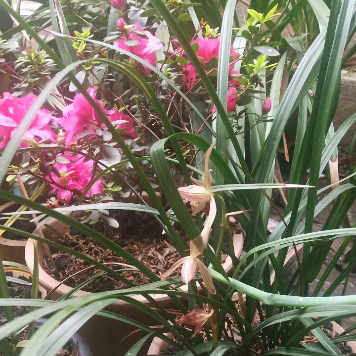 永不放弃
