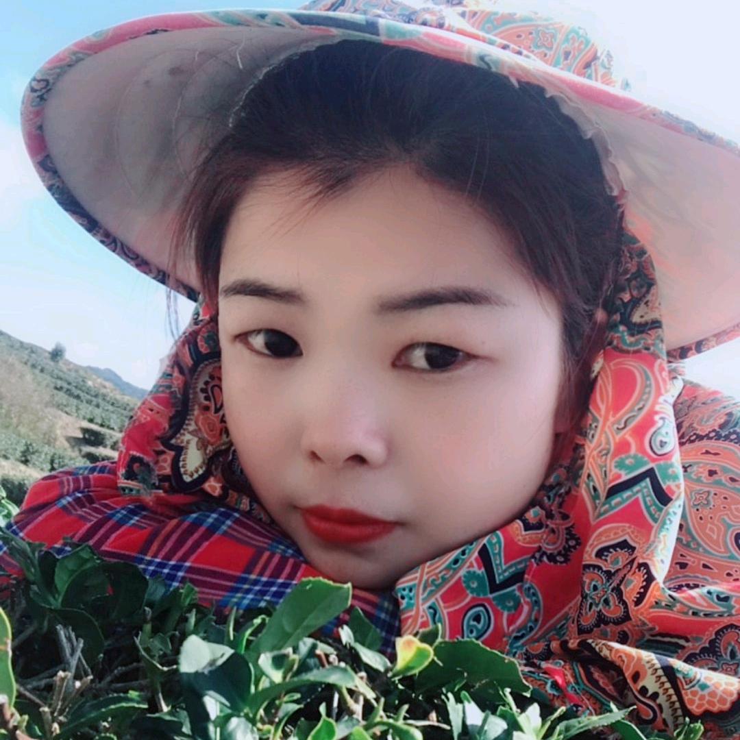 深山茶姑娘