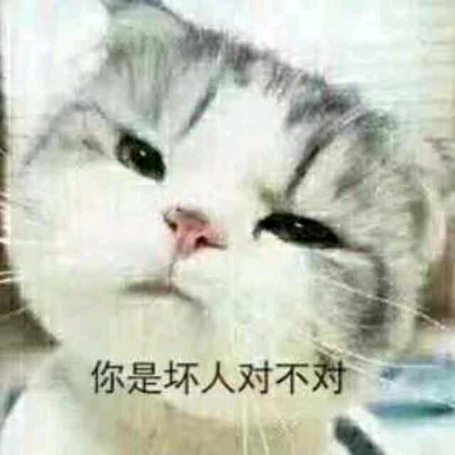 小鱼鱼摆摆摆🐟🐟🐟