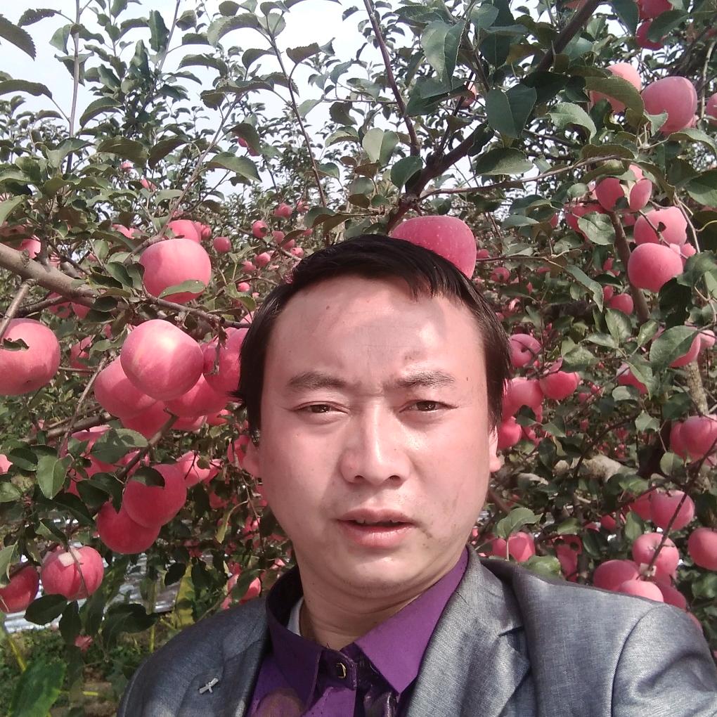 保哥