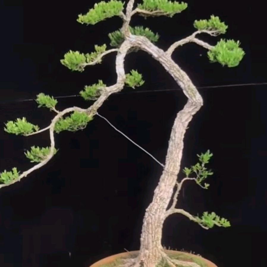 花振景园林