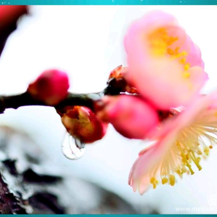 美丽人生❤❤️❤️