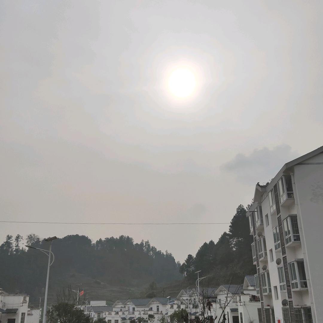 人在江湖