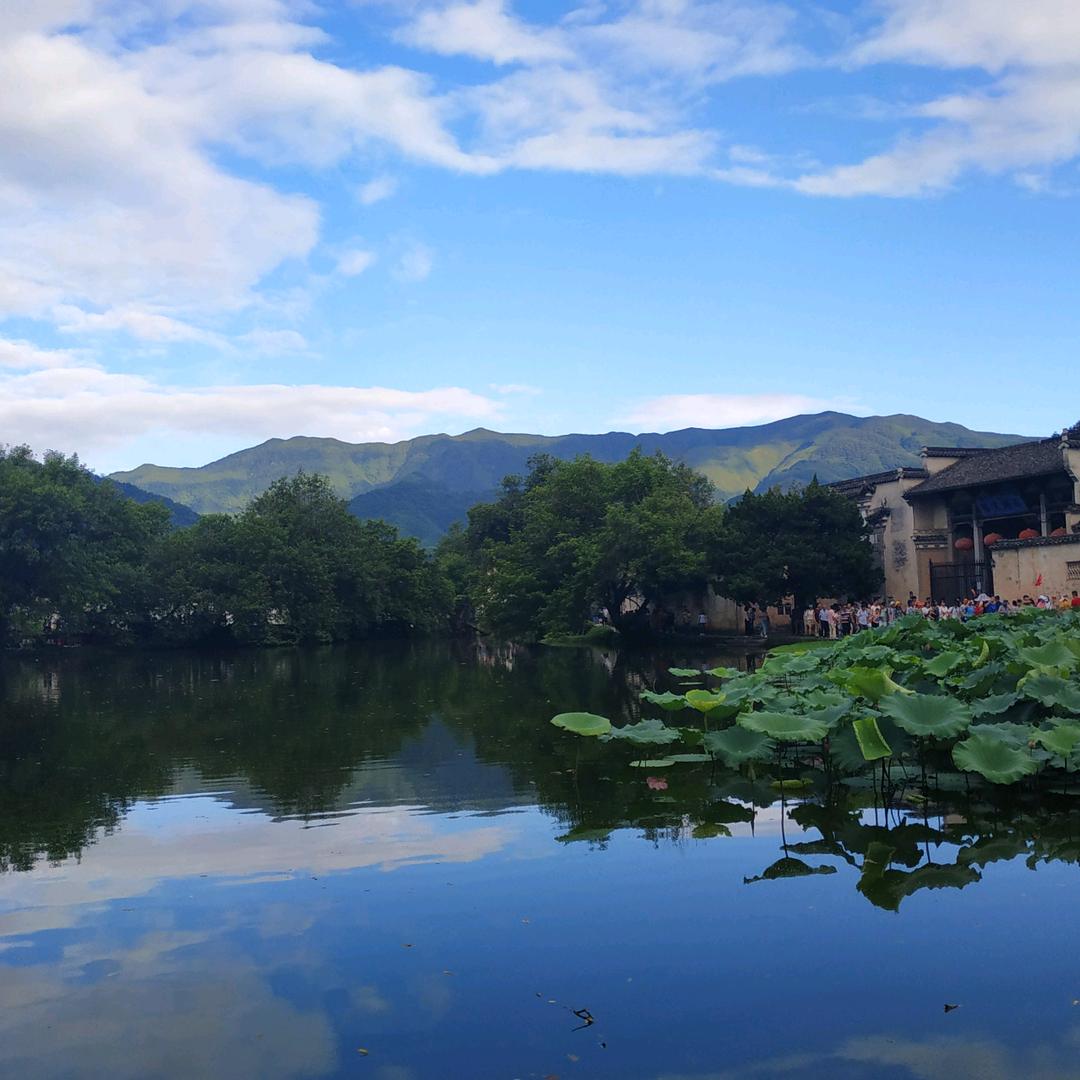 严诺妈妈
