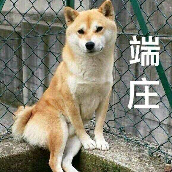 用户6361947392502