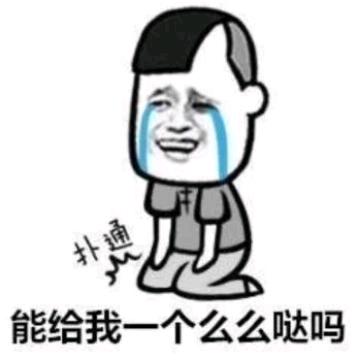 为了狗子换11