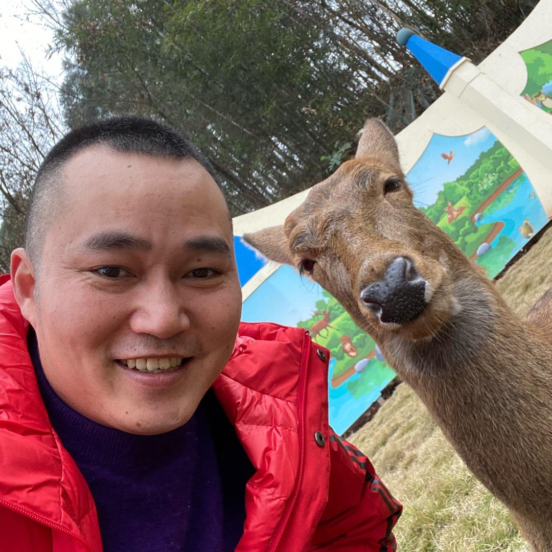 苏妲己