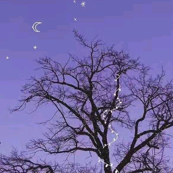 亦希～yoo