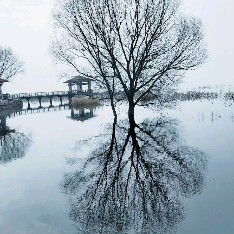HOU^_^坐等天使