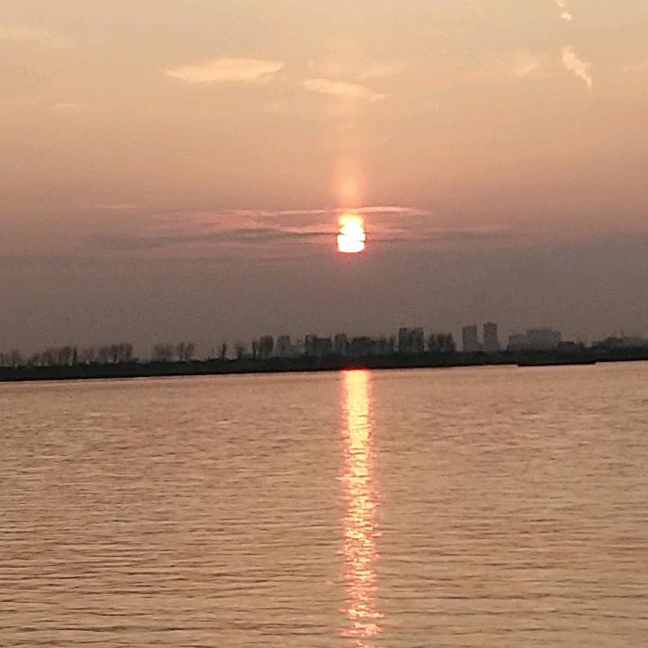 真成相待