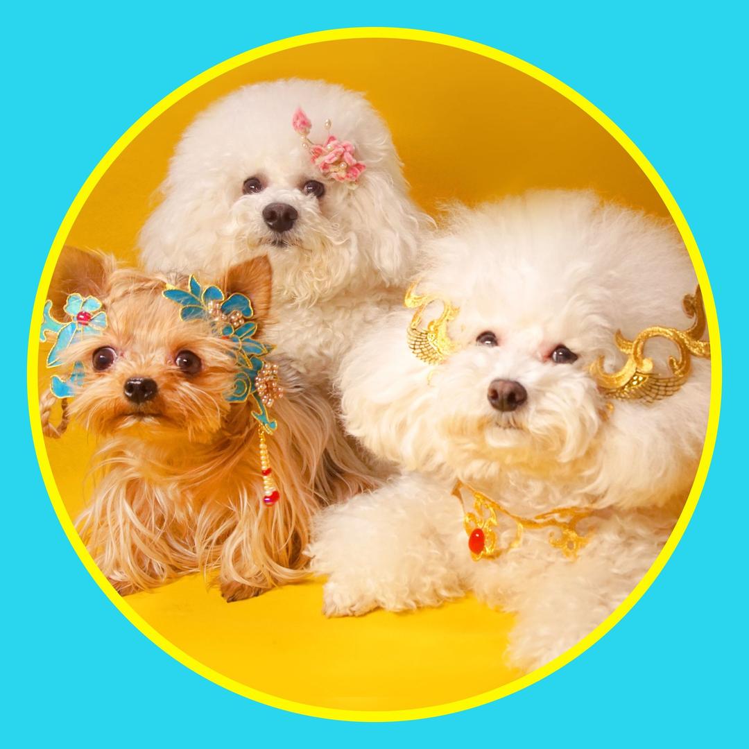 肚宝美酱呦@抖音