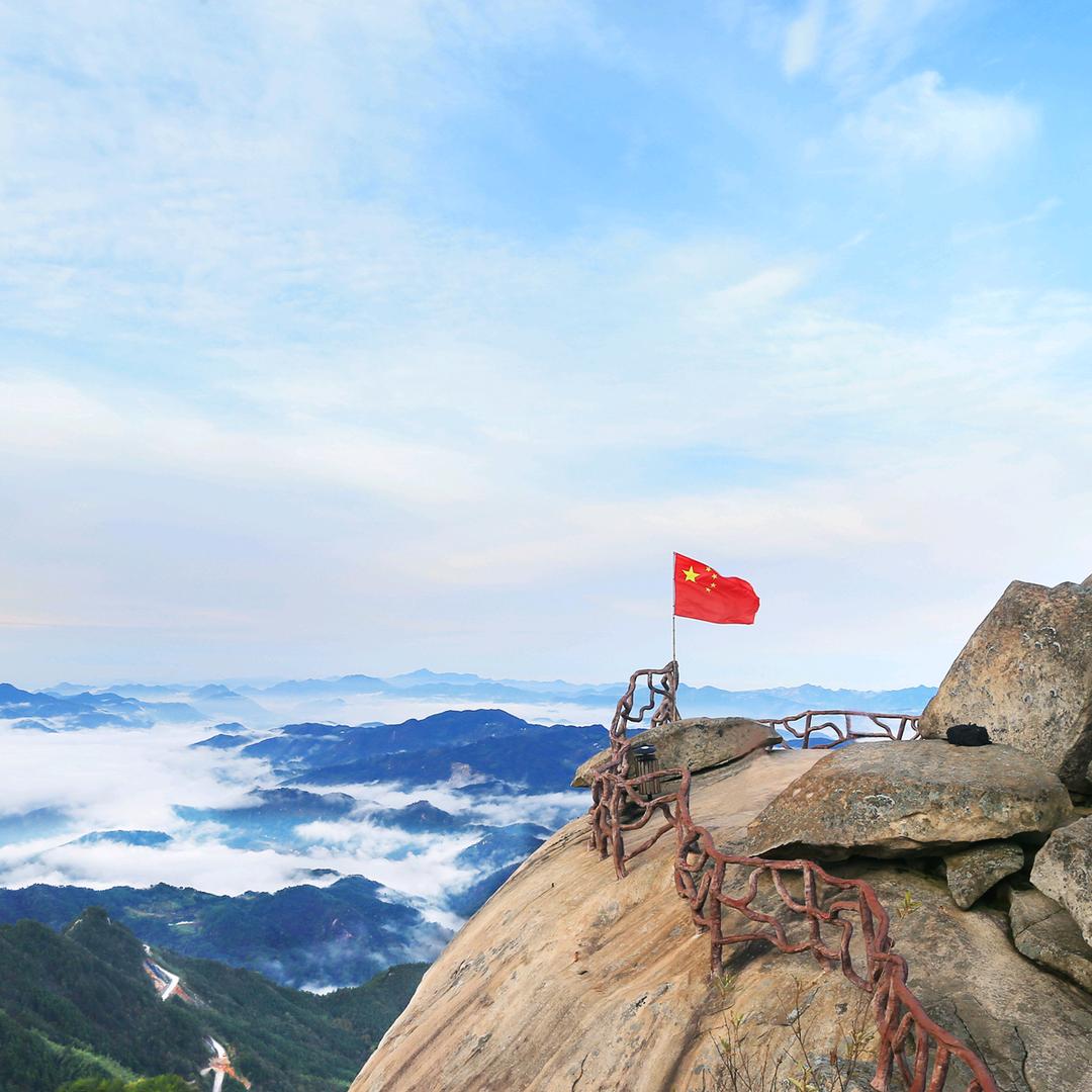 大别山上一颗松