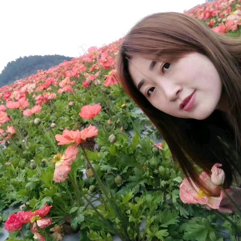 ❄️十一月❄️