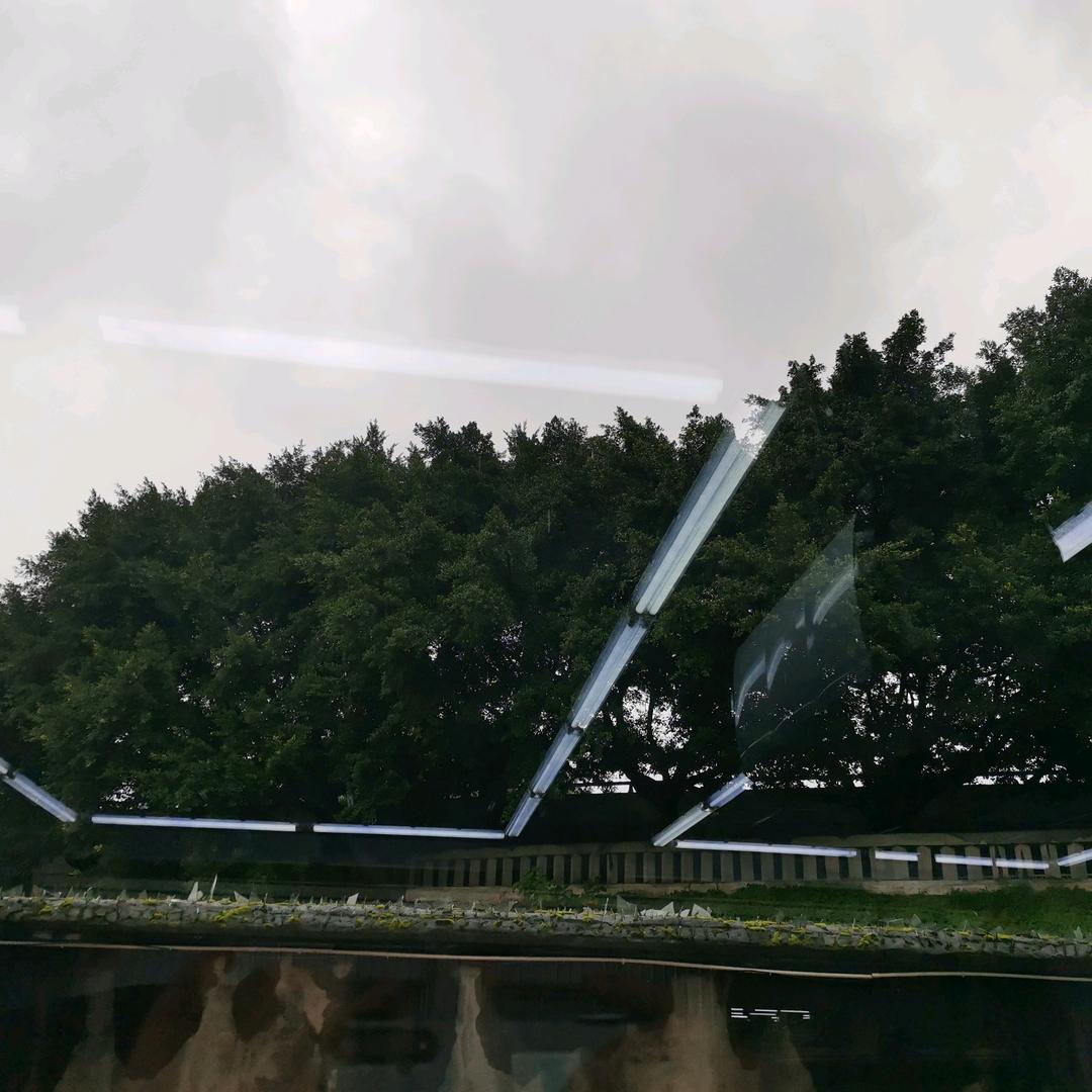沉默动力