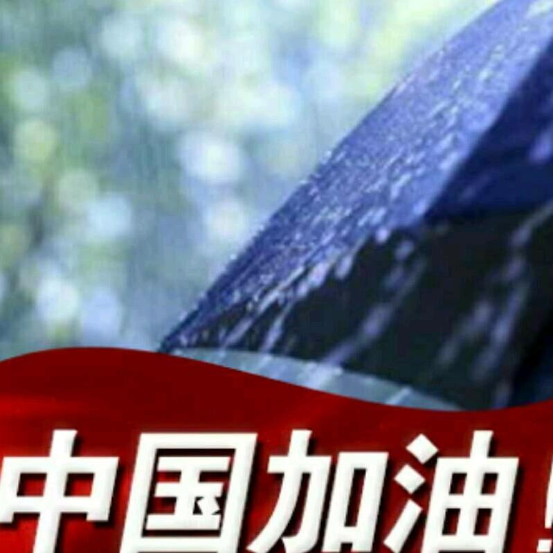 雨中伞