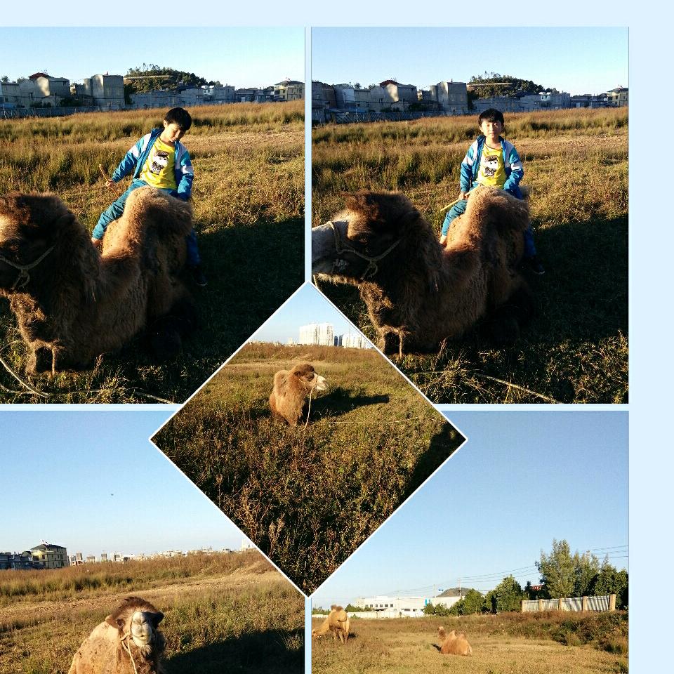 他不懂我的逆态度