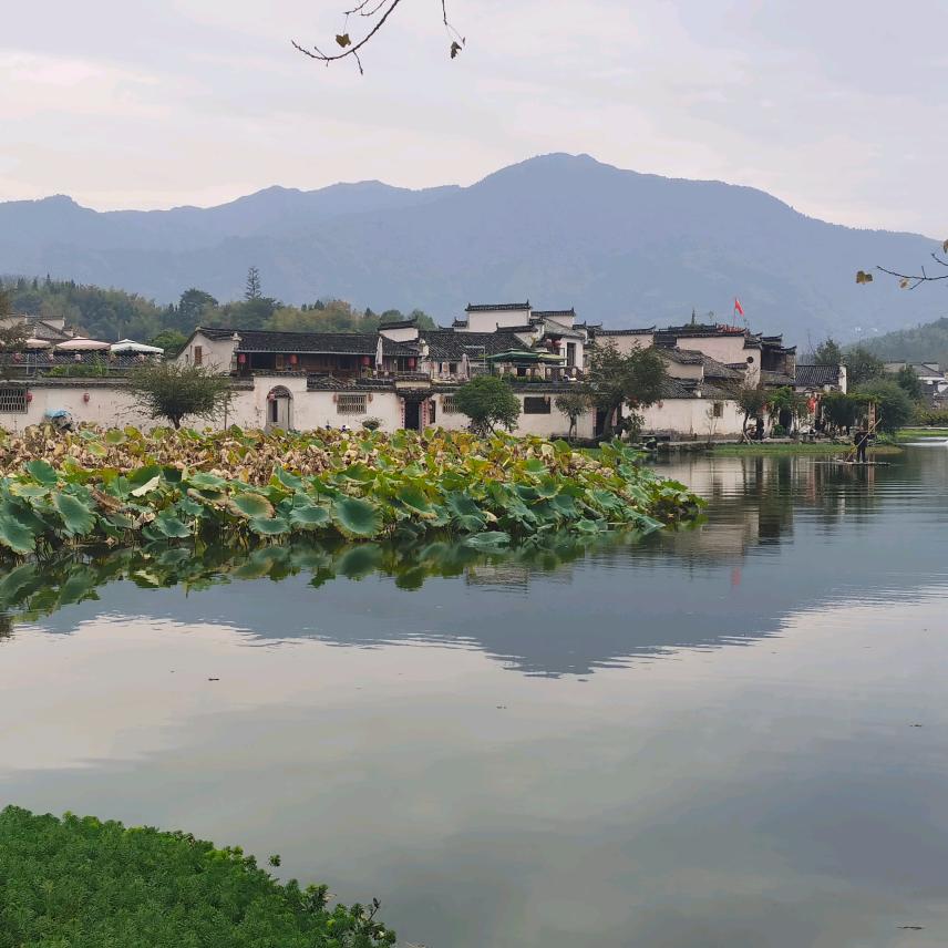 全科主任