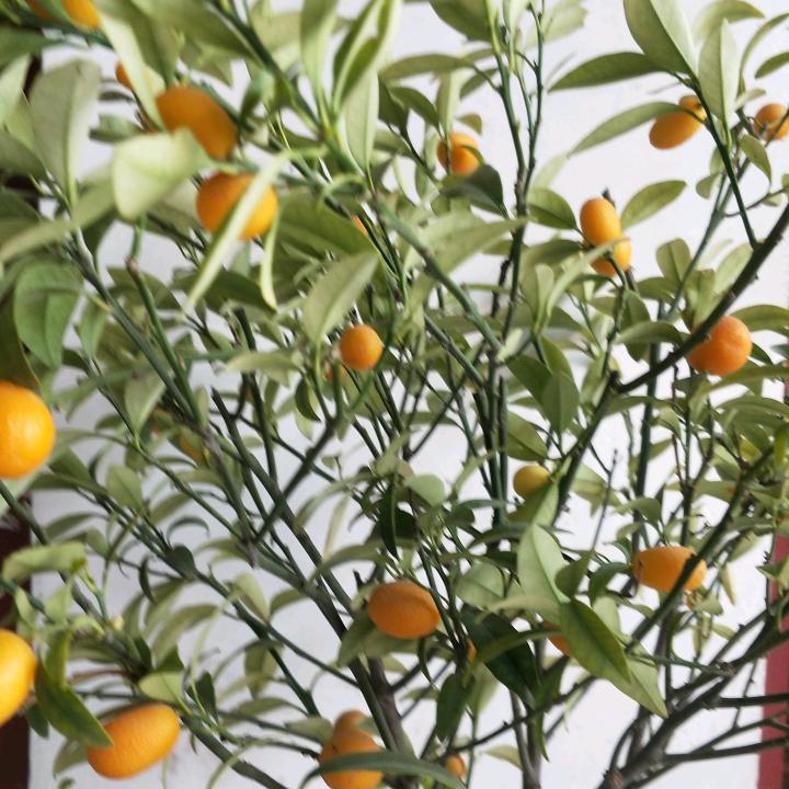 我的微信里有你