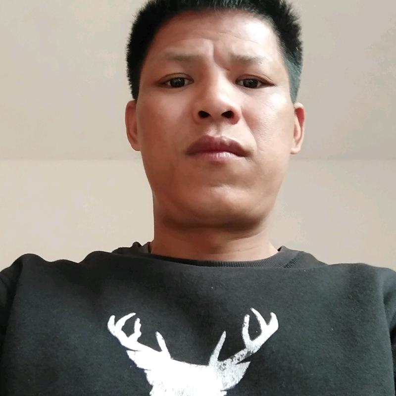 陈真齐