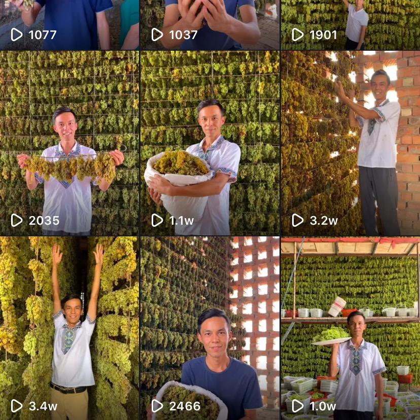 吐鲁番田园宝小萨