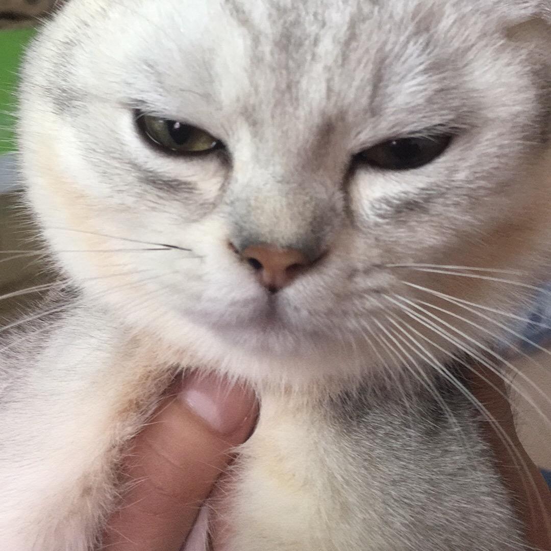 陈潇洒