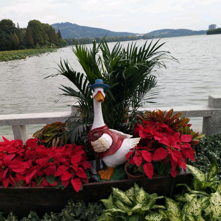 你是我的唯一。