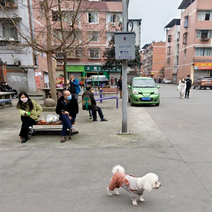 微笑吧，自己撑伞。