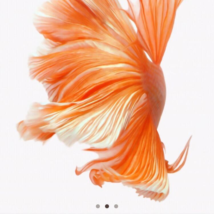 云国