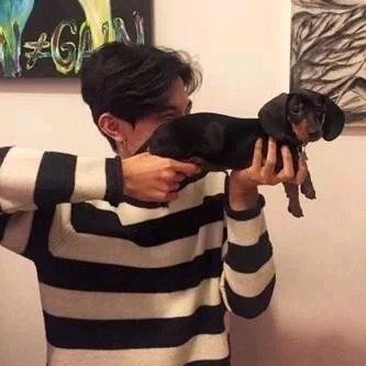 肥猫   酱～～～