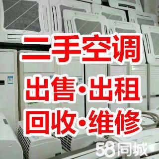 张磊
