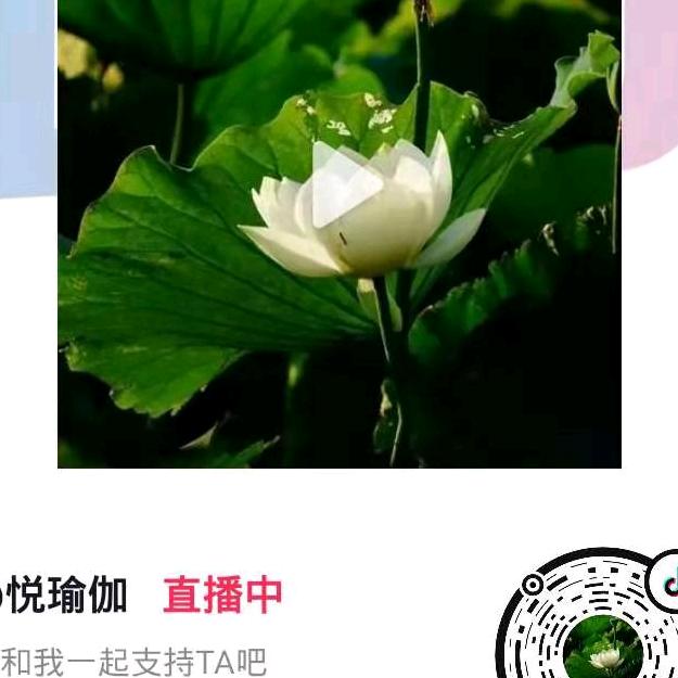 幸福来到这