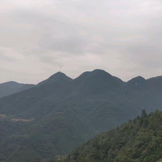 用户7810125120974