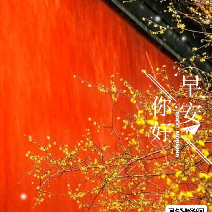 路儿