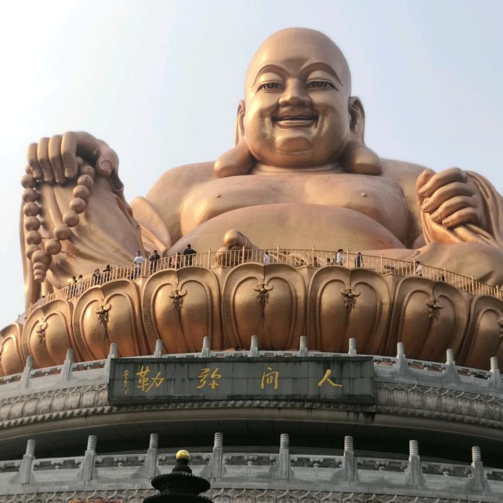 在逃打工人🐯🌈💰