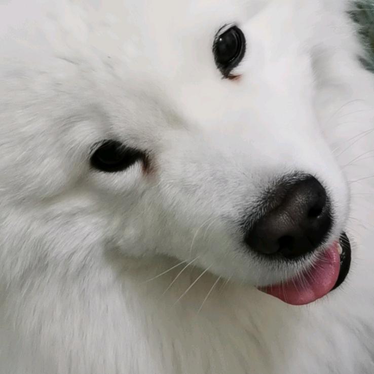 丢丢mm