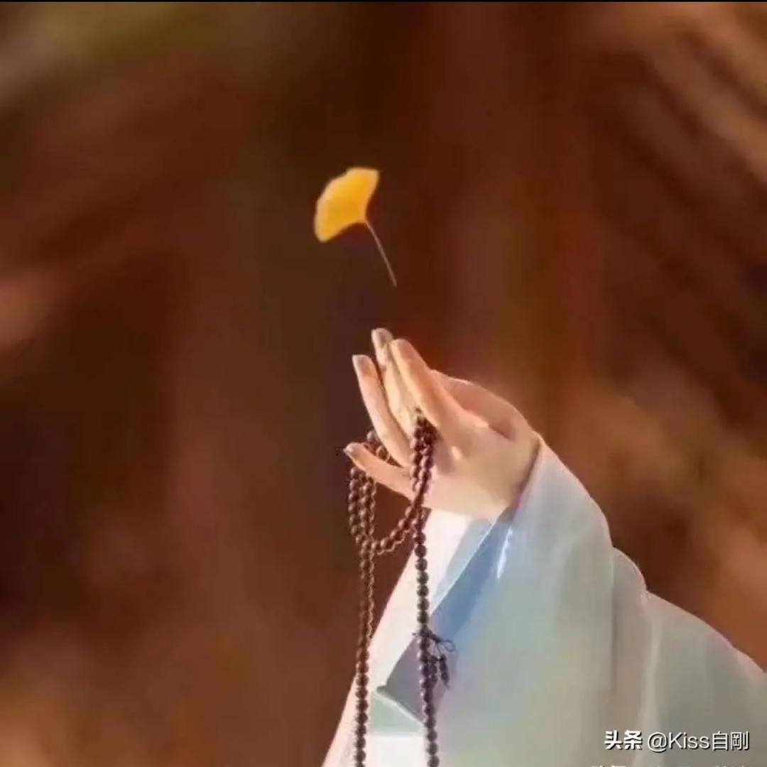 用户1744066666073岚儿