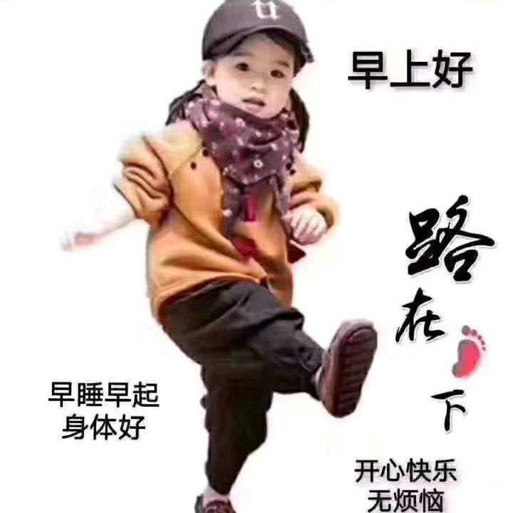 农建房专业木工包工包料