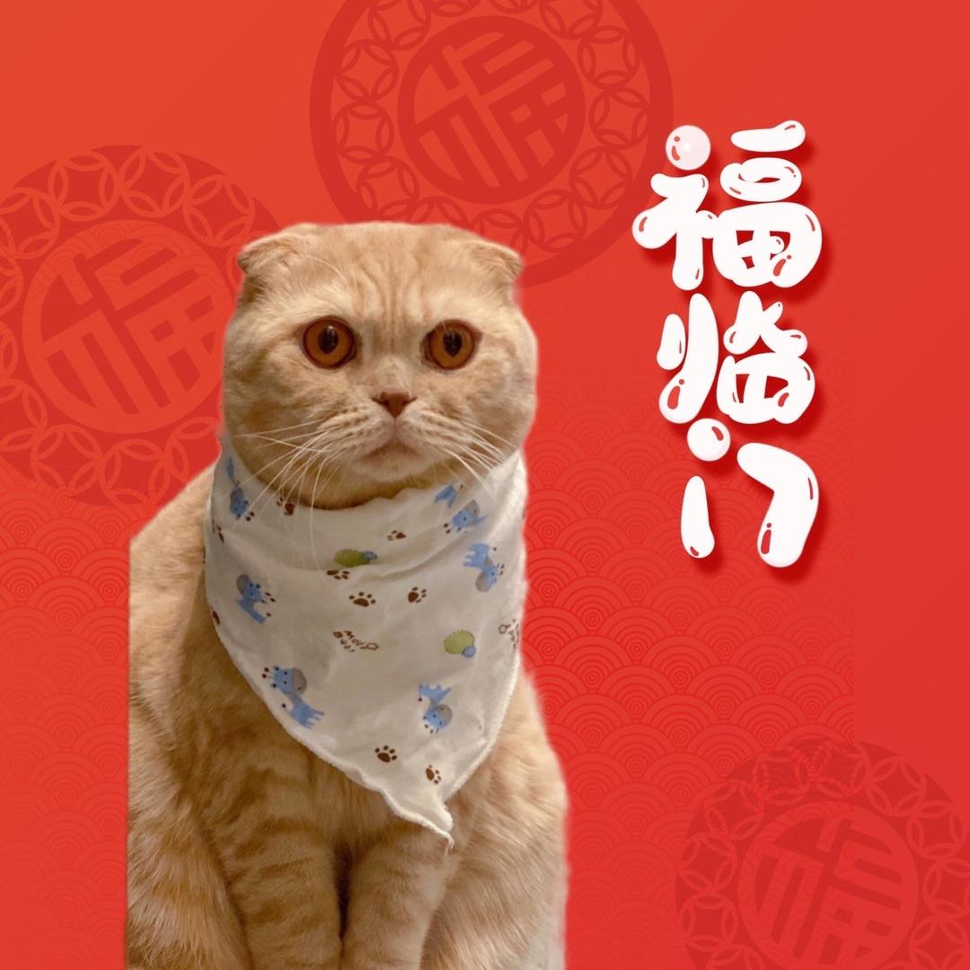 花生跟麻麻姓