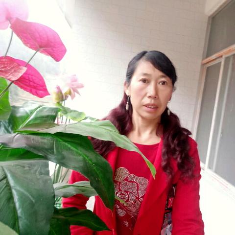 美好的未来