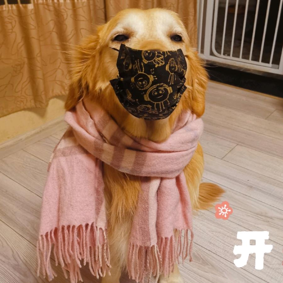 欣妍 －Lisa