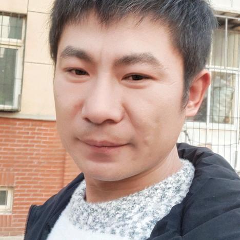 段磊