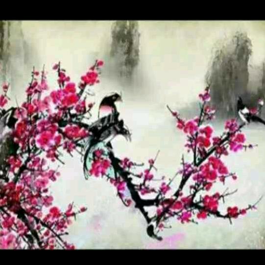 梅兰